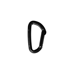 Wild Country Session Straight Gate Carabiner