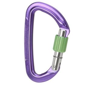 Session Screw Gate Carabiner
