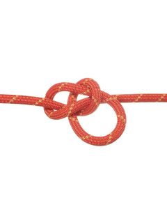 Edelweiss Energy 9.5mm P3