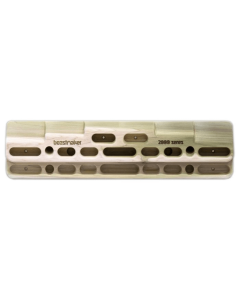 Beastmaker 2000 Hangboard
