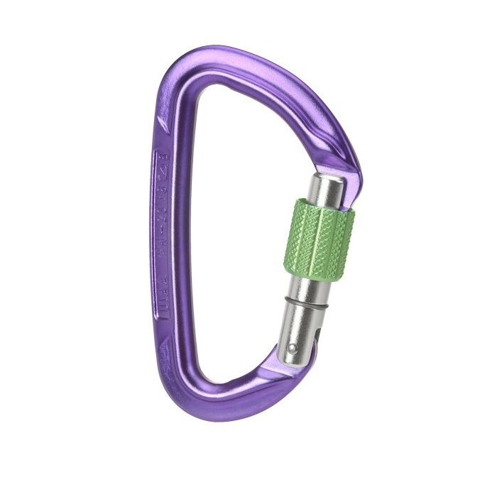 Wild Country Session Carabiner
